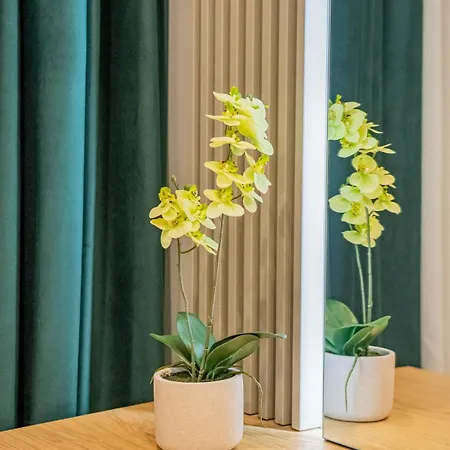 Luxurious By Casa David 2025 *