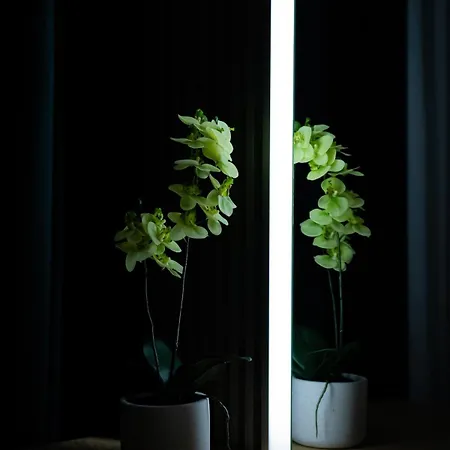 Apartment Luxurious By Casa David 2025 *