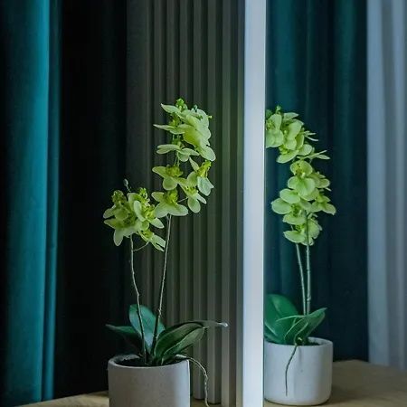 Luxurious By Casa David 2025