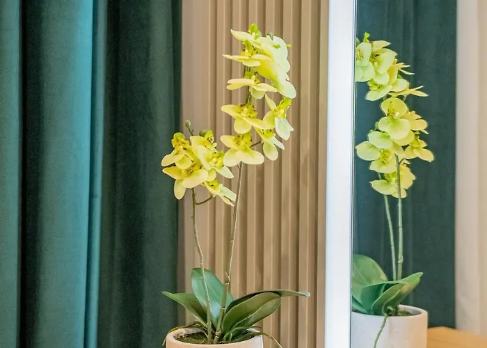 Luxurious By Casa David 2025 *