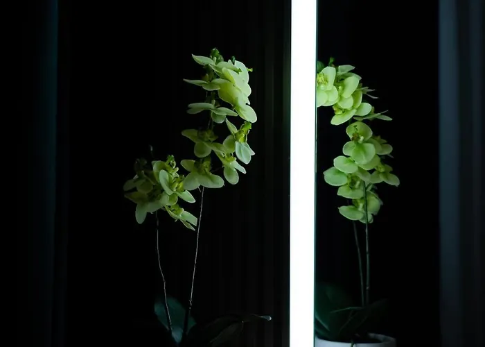 Appartement Luxurious By Casa David 2025 *