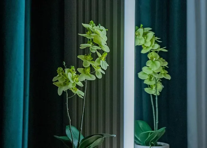 Luxurious By Casa David 2025